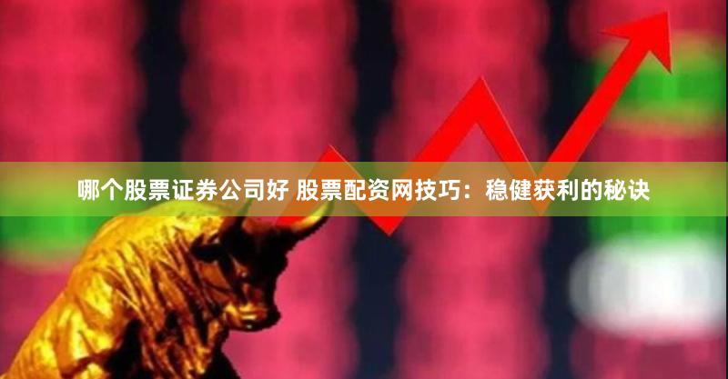 哪个股票证券公司好 股票配资网技巧：稳健获利的秘诀